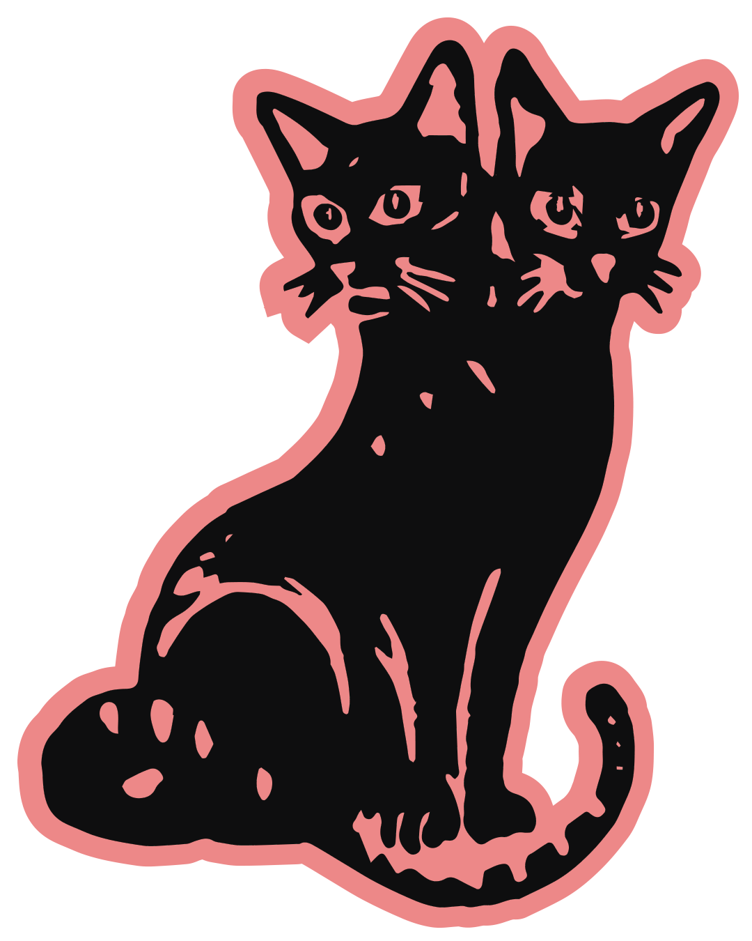 LARRY — the two-headed cat