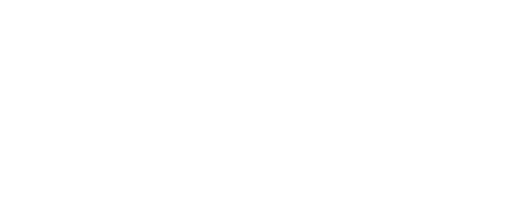 FROST Security